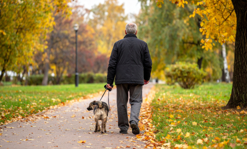 man walking his dog in the park during fall