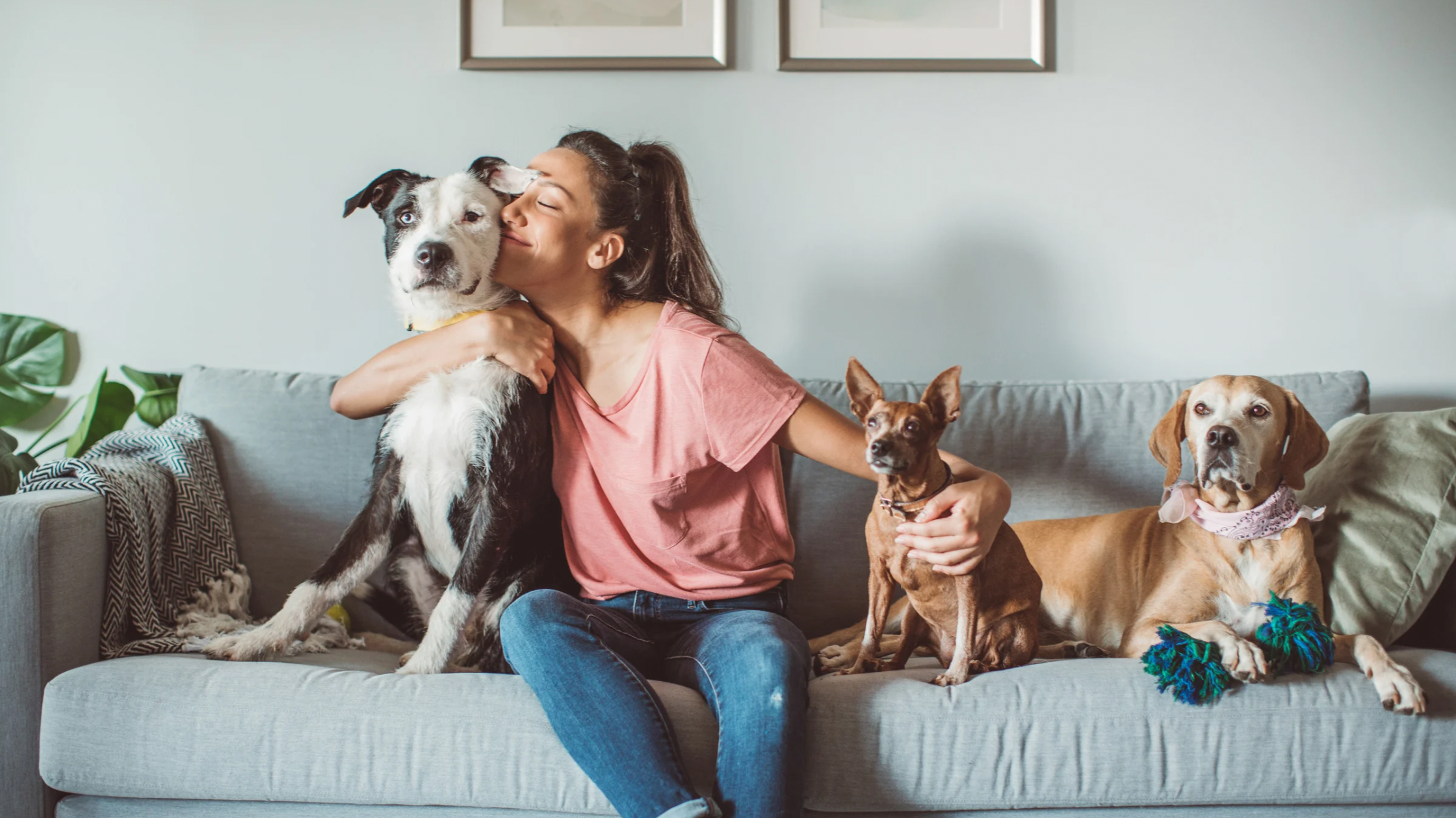 The Best Pet-Friendly Apartments in Cookeville