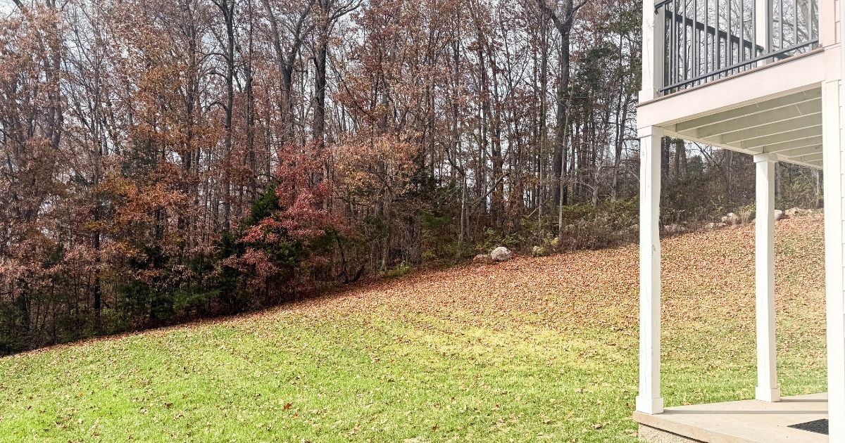 backyard at highbury in cookeville, tn pet friendly apartment